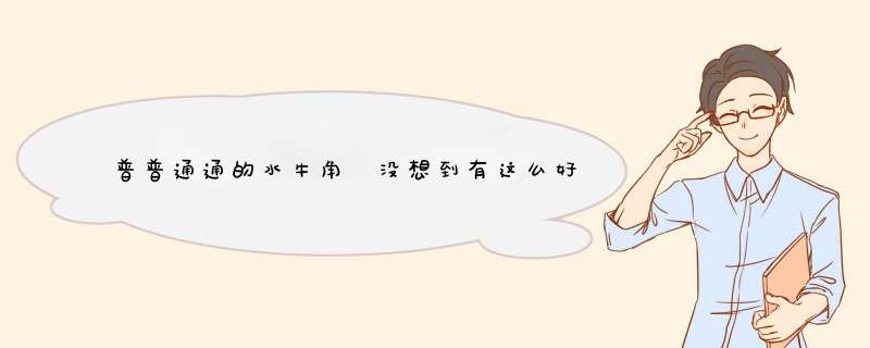 普普通通的水牛角 没想到有这么好的功效与作用,第1张